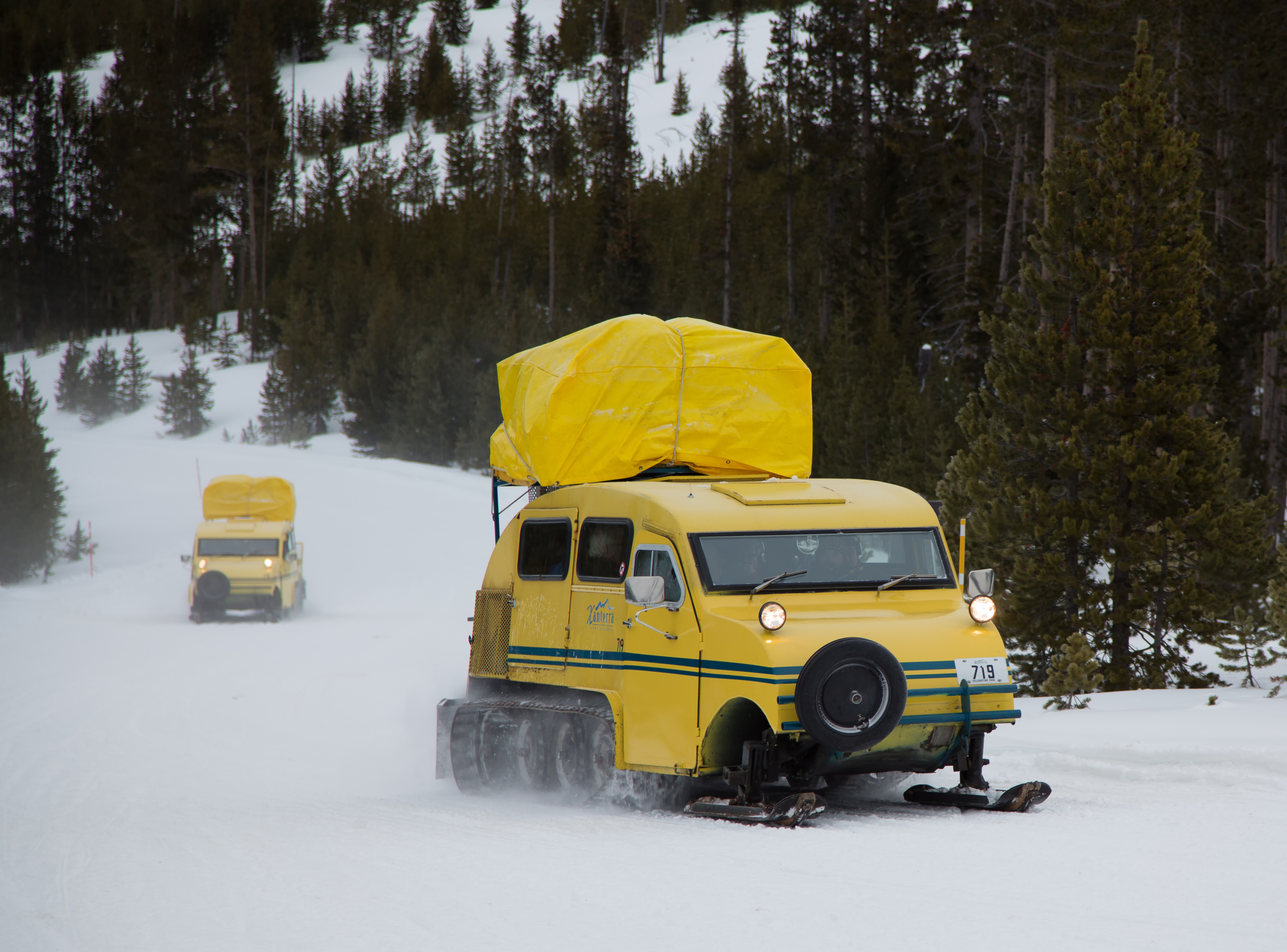 Snow Coaches, Yellowstone National Park, WY